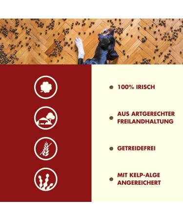 Irish Pure Dry Dog Food 4kg | Beef & Chicken | High Meat Cereal-Free | Sensitive Formula for All Breeds - Buy Online on GoSupps.com