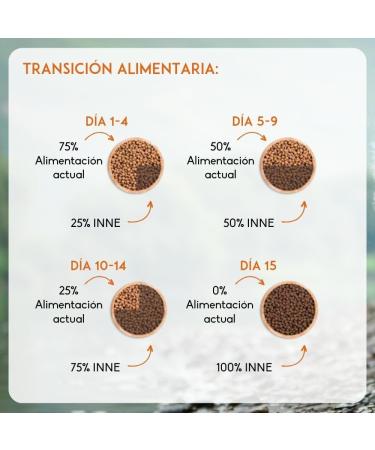 NUTRIVET - INNE Dog - Grain-free kibble - Adult dog - Poultry - 80% ingredients of animal origin - 12 kg - Buy Online on GoSupps.com