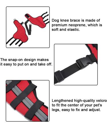 Dog Knee Brace Dog Double Rear Leg Brace with Metal Hinged Flexible Support and Reflective Seat Belts Dog Acl Brace Hind Leg|Red (XS) - Buy Online on GoSupps.com