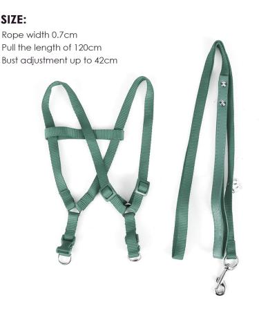 Felenny Bird Dishes & Adjustable Leash - Essential Outdoor Accessories for Scarlet Red Ara Sun Conure & Nymphensittich (Green Small) - Buy Online on GoSupps.com