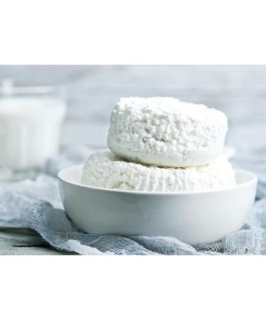 Earthborn Elements Potassium Bicarbonate (1 Gallon) Wine Making Cheese Making Brewing 10 Pound (Pack of 1) - Buy Online on GoSupps.com