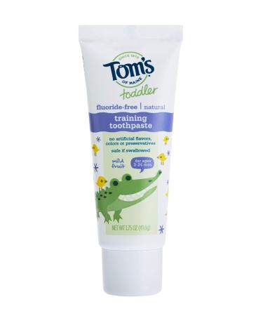 Tom's of Maine Fluoride-Free Toddler Training Toothpaste - Mild Fruit Flavor - 1.75 oz - Buy Online on GoSupps.com