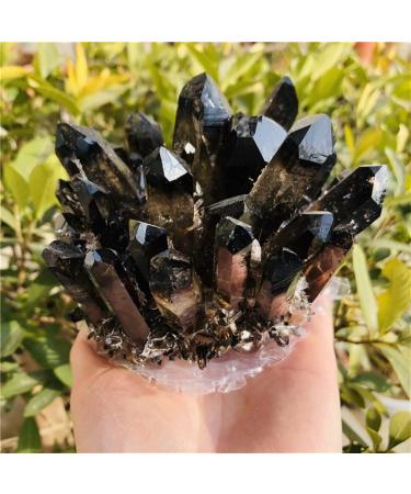 Home Decoration Hot Quartz Cluster Natural Cairngorm Crystals Flowers Smoky Quartz Cluster Stones Home Goods ZJGIDTEM (Size : 400-500g) - Buy Online on GoSupps.com