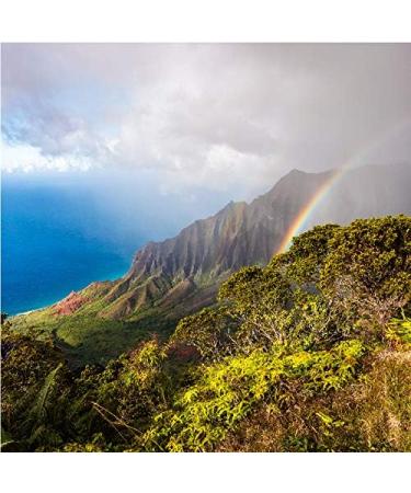 Kauai Coffee Vanilla Macadamia Nut Hawaiian Premium Ground Coffee 283g Bag - Buy Online on GoSupps.com