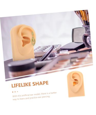 Realistic Silicone Ear Model for Teaching & Display 7.8x4.9cm Artificial Ear Prop for Piercing & Hearing Demonstrations - Buy Online on GoSupps.com