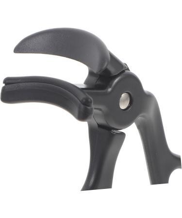 Mikinona Eyelash Curler Curling Lash Tools Eye Curler for Lashes Eyelash Tool Manual Lash Curler Cosmetic Tool Eyelashes Curling Clip Eyelash Curling Clip Eye Makeup Tool Eyelash Curl Tool - Buy Online on GoSupps.com