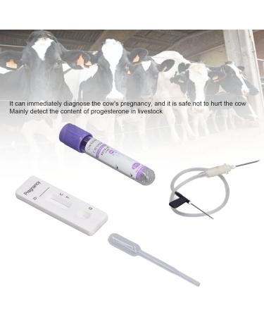Bovine Cow Pregnancy Test Card Rapid Early Pregnant Pregnancy Test Kit Adopts Colloidal Gold Double Antibody Sandwich Method - Buy Online on GoSupps.com