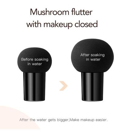 Mushroom Head Foundation - BB Cream Foundation Makeup CC Cream | Cream Foundation Air Cushion All-Day Long-Lasting Hydrating Concealing Foundation Makeup for All Skin Ivory - Buy Online on GoSupps.com