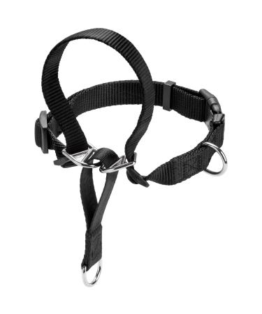 HUNTER training harness Follow Me L black L - Buy Online on GoSupps.com