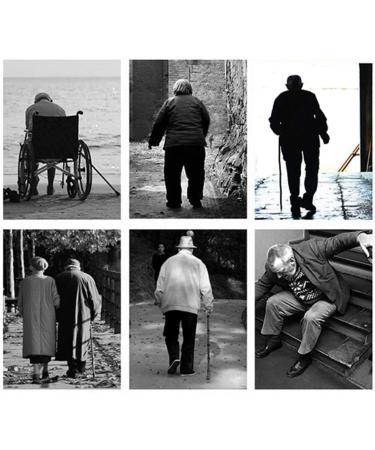 Canes 37 Inch Solid Wood Wood Carved Walking Stick Natural Wood Lightweight and Strong Traditional Style Canes 250 lbs Weight Capacity Star of Light - Buy Online on GoSupps.com