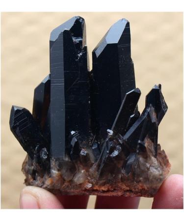 Stone Crafts Clear Natural Beautiful Black Quartz Crystal Cluster Specimen Crystals and Stones Stone Crystal Reiki - Buy Online on GoSupps.com