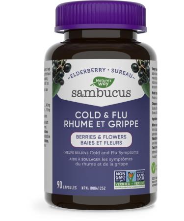 Sambucus Elderberry Cold and Flu Care Capsules 90 Vegetarian Capsules Non-GMO Project Verified 90 Capsules Medicine