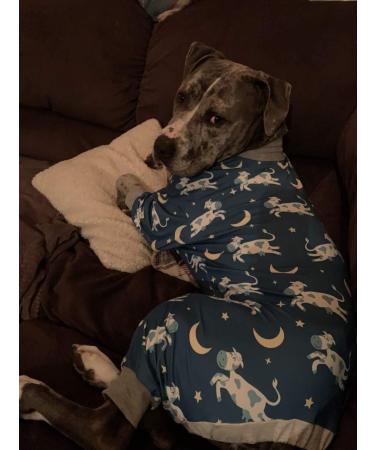 Onesie 2024 for pitbull