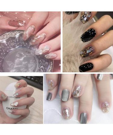 Buy Niceneeded Nail Art Crushed Shell Seashell Set - Irregular Abalone Slices & 3 Shell Sea Studs with Tweezers for Stunning Nail Designs - Buy Online on GoSupps.com