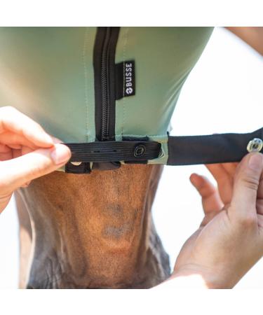 Busse Fly Mask Twin Fit Flexi | Premium Horse Fly Protection - Shop Internationally - Buy Online on GoSupps.com