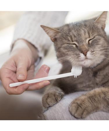 Premium Cat Brush & Undercoat Comb | Remove Mats & Reduce Shedding | Healthy Fur Massage Kit for Cats - Buy Online on GoSupps.com