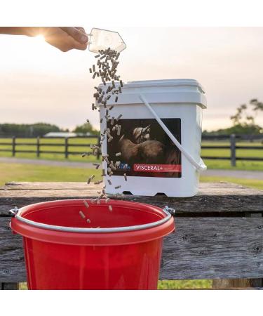 Mad Barn - Visceral+ - Supplement for Horse Gut Health and Digestion 5 kg 5kg - Buy Online on GoSupps.com