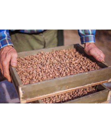 Organic Tiger Nut Ground - 1kg | Certified Plant-Based Chufas | Vinativo - Buy Online on GoSupps.com
