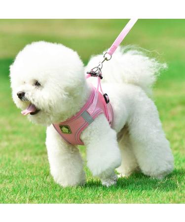 Femax Soft Mesh Dog Harness with Leash for Small & Medium Dogs - Adjustable Reflective No-Pull Vest for Puppies Chihuahuas & Cats - Breathable Pink XS (Chest 26-29cm) - Buy Online on GoSupps.com