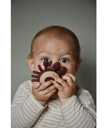 Gary the Crab: Durable Wooden Toy & Soft Silicone Teether for Toddlers - BPA-Free & LFGB Certified - Buy Online on GoSupps.com