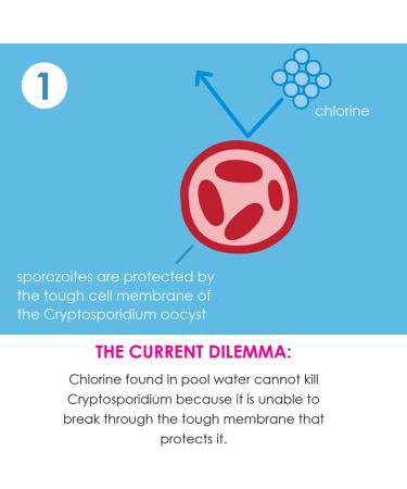 Splash About Happy Nappy Duo 3-6 Months Tug Boats - Top Quality Swim Diaper - Buy Online on GoSupps.com