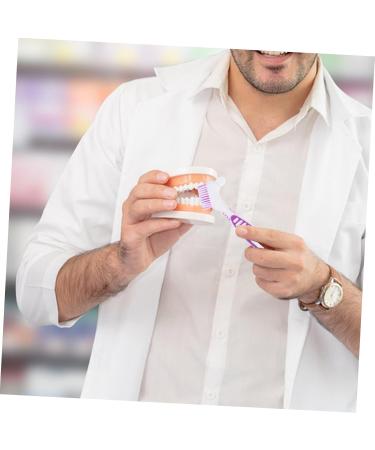 Foytoki 2-Piece Prosthesis Cleaning Brush Set | Tools for Braces & Prosthesis Care | Effective Toothbrush for Prosthesis Cleaning - Buy Online on GoSupps.com