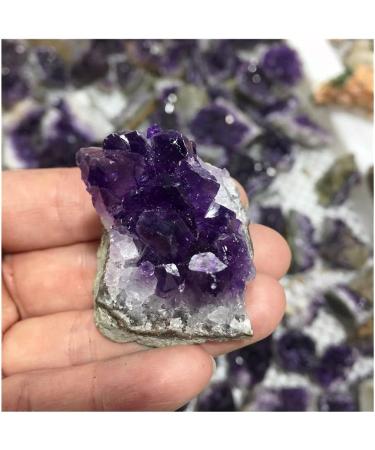 Natural Raw Amethyst Quartz Purple Stones Specimen Minerals Home Decoration (Size : 5pcs) HOMEZHOU (Size : 5pcs) - Buy Online on GoSupps.com