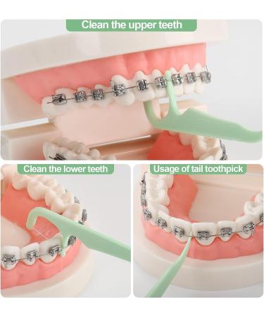 Orthodontic Flossers for Braces - 150 Count with Dispenser | Dental Floss Picks for Kids & Adults - 50 Count Bag (Pack of 3) - Buy Online on GoSupps.com