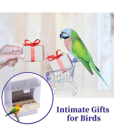 Roysmart Transparent Bird Feed Dispenser | Ideal Food Container for Budgies Canaries Nymphics & Finches - Buy Online on GoSupps.com