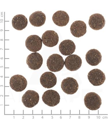 Wolfsblut Range Lamb Senior 500 g - Buy Online on GoSupps.com