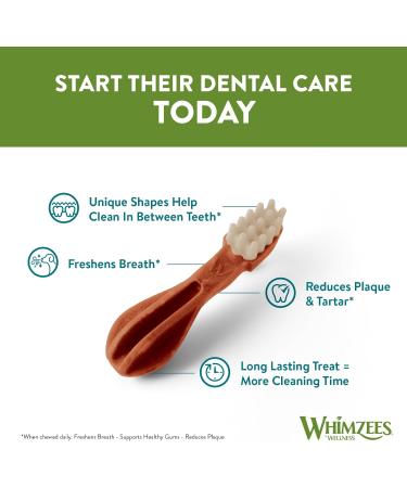 WHIMZEES Wellness Toothbrush Dog Chews for Medium Breeds - 30 Piece Month Box - Buy Online on GoSupps.com