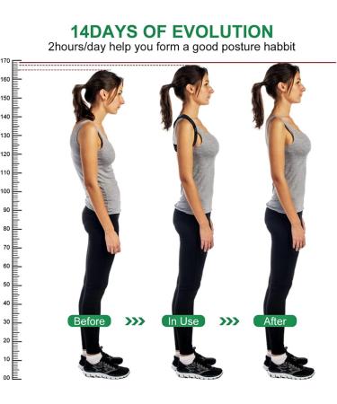 Adjustable Back Shoulder Posture Corrector Belt Clavicle Spine Support Reshape Your Body Home Office Sport Upper Back Neck Brace (Color : Green Size : 2XL-Weight 120-135KG) - Buy Online on GoSupps.com