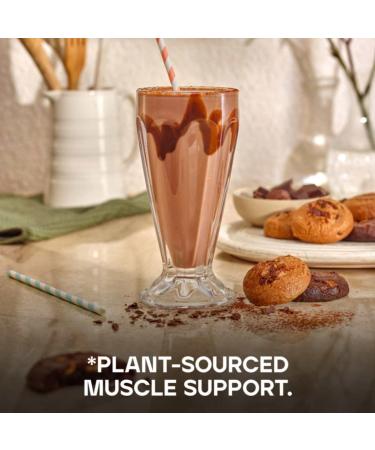 Vegan Protein Powder Chocolate Cookies 500g - New Formula - 14 Servings - Buy Online on GoSupps.com