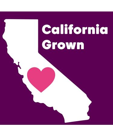 Wilderness Poets Organic Raw Pistachio Butter - 100% Pure 64 oz Glass Jar - International Shipping Available - Buy Online on GoSupps.com