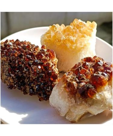 Room Decoration 1pc Natural Raw Citrine Quartz Geode Yellow Crystal Cluster Crystals Rough Specimen Stone Crafts Home Decor Great Choice for Home Decoration (Size : 190-240g) - Buy Online on GoSupps.com
