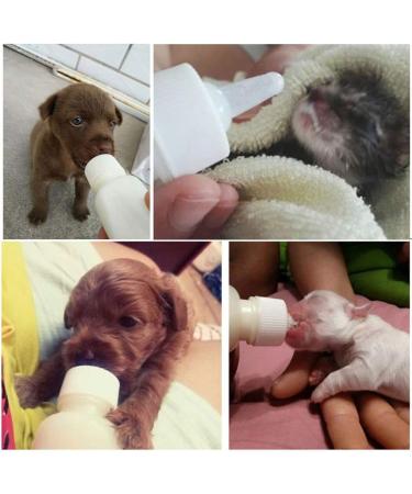 DoubleWood Nursing Bottle Kit with Replacement Nipple for Newborn Kittens, Puppies, Rabbits, Small Animals - Buy Online on GoSupps.com