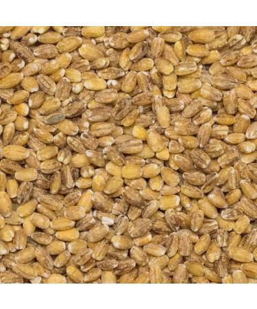 Wholefood Earth Organic Dried Pearl Barley 1kg - Vegan, GMO Free, High Fibre, Protein Source | Certified Organic - Buy Online on GoSupps.com