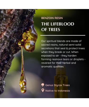 Benzoin Resin Essential Oil Roll-On Blend by Aromafume | 1 x 10ml / 1 x 0.33 Fl Oz | Made with Styrax Native to Indonesia | for Meditation Spiritual Awakening Prayer and Wellness - Buy Online on GoSupps.com