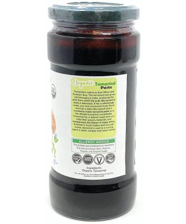 Rani Organic Tamarind Paste 16oz - USDA Certified, All Natural, Vegan, Gluten Free, NON-GMO, No Sugar Added - Indian Origin 454g Glass Jar - Buy Online on GoSupps.com