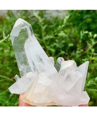 Home Natural White Quartz Crystal Cluster (Size : 200g) - Buy Online on GoSupps.com