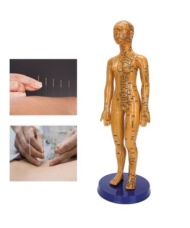 Acupuncture Model - Copper Female & Male Meridian Points for Chinese Medicine & Massage Crafts - Buy Online on GoSupps.com