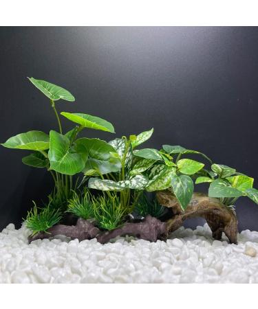Smoothedo-Pets Aquarium Decoration | Betta Silk Blade Pad Driftwood Cave & Shell Accessories - Enhance Your Fish Tank! - Buy Online on GoSupps.com