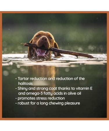 Wildfang Olive Wood Chewing Root for Dogs | Dental Care Toy for Dogs up to 45kg | Size L 220g - Buy Online on GoSupps.com