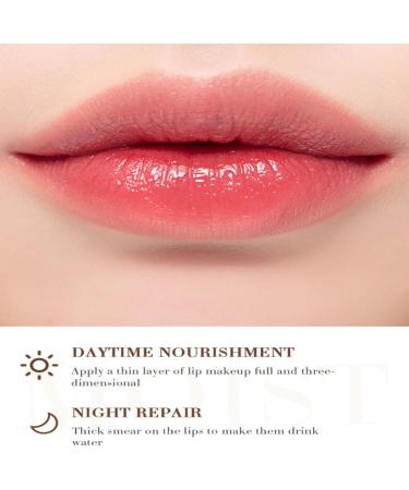 Virecose Lip Balm 6 Lip Care Balm for Dry Lips 5 g - Buy Online on GoSupps.com