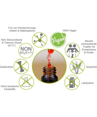 Plantrition Vitamin B12 Drops - 1250 Drops 100 g Methyl & Adenosylcobalamin Alcohol-Free Vegan - 50ml Manufactured in Germany - Buy Online on GoSupps.com