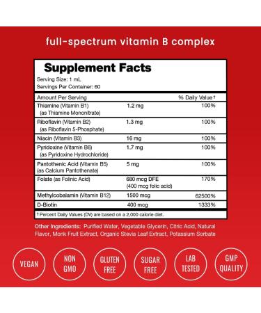 Vitamin B Complex Liquid Drops with B1, B2, B3, B6, B7, B9 & Methyl B12 for Adults & Kids - Vegan Berry Flavor - 2oz, 60 Servings - Buy Online on GoSupps.com