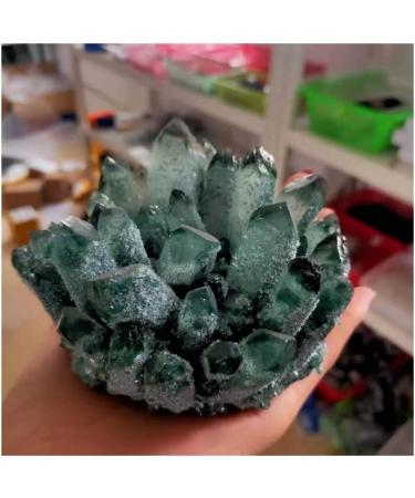 Natural Crystal Rough Stone Crafts Newly Discovered Green Quartz Crystal Cluster Specimen (Size : 600-700g) - Buy Online on GoSupps.com