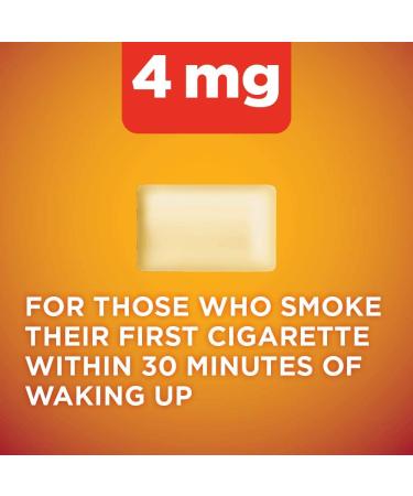 Amazon Basic Care Nicotine Polacrilex Gum 4mg - Cinnamon Flavor 160ct - Buy Online on GoSupps.com