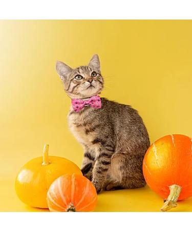 BIPY Halloween Dog Bowties for Pet Small Dogs Cats Puppy Bow Ties Necktie Adjustable Slides Collars Assorted Styles for Party Grooming Accessories 4.5x9cm 10pcs - Buy Online on GoSupps.com
