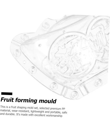SUPVOX Cucumber Shaping Mold 2pcs Fruit Mold Accessories Growing Shaping Pear Ingot Ingot-Shaped Vegetable Molds Garden Yard - Buy Online on GoSupps.com